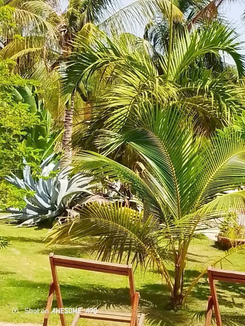 Chambre D'Hote Les Vacanciers Nianing Экстерьер фото